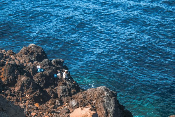 Impact of Recent UK Fishing Regulation Changes on Local Marine Ecosystems